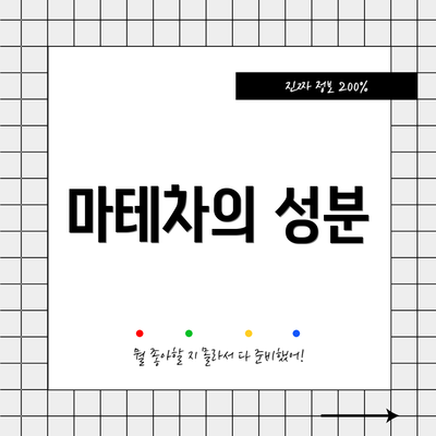 마테차의 성분