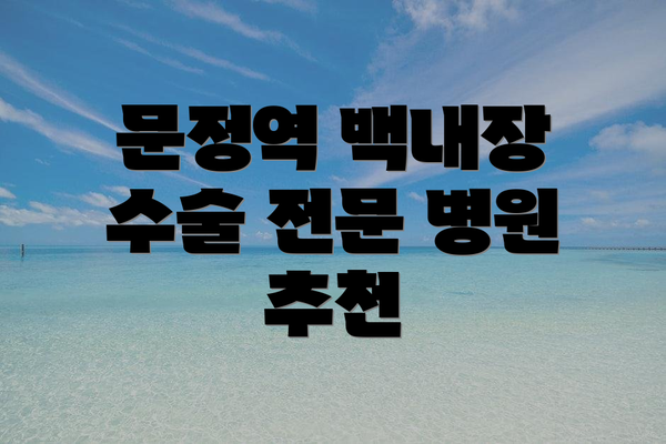 문정역 백내장 수술 전문 병원 추천