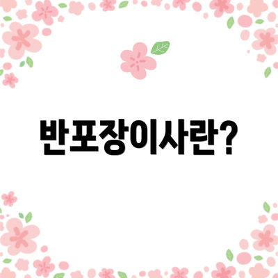 반포장이사란?