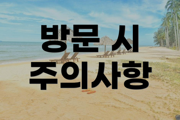 방문 시 주의사항