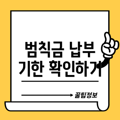 범칙금 납부 기한 확인하기