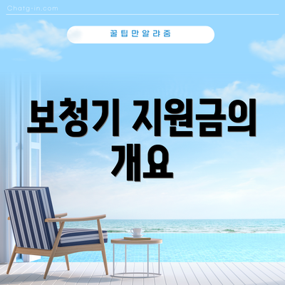 보청기 지원금의 개요