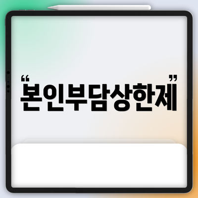 본인부담상한제
