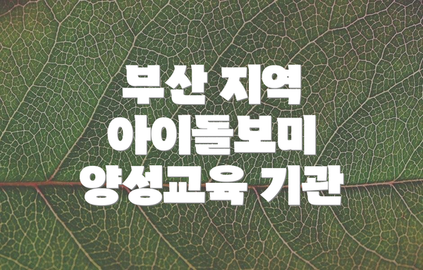 부산 지역 아이돌보미 양성교육 기관