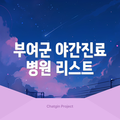 부여군 야간진료 병원 리스트
