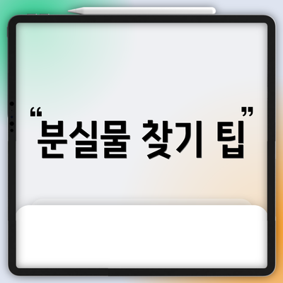 분실물 찾기 팁