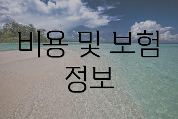 비용 및 보험 정보