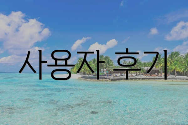 사용자 후기