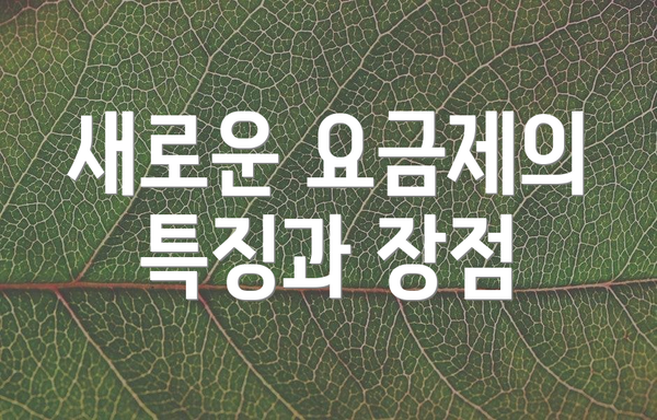 새로운 요금제의 특징과 장점