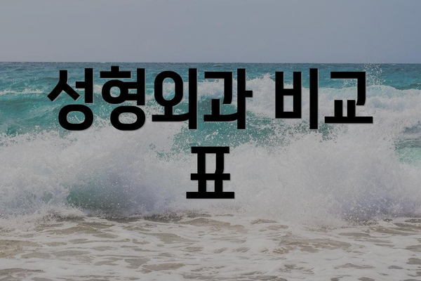 성형외과 비교 표