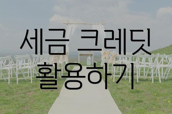 세금 크레딧 활용하기