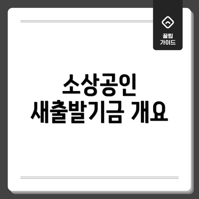 소상공인 새출발기금 개요