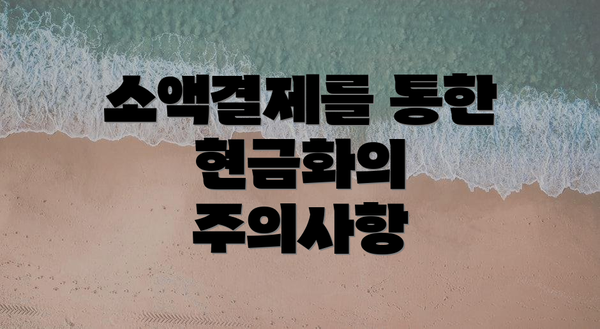 소액결제를 통한 현금화의 주의사항