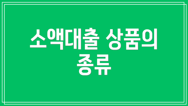 소액대출 상품의 종류