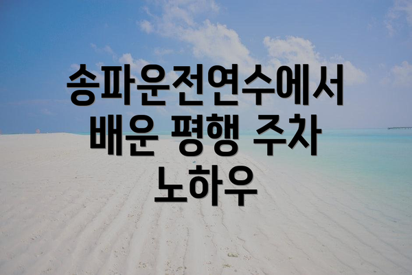송파운전연수에서 배운 평행 주차 노하우