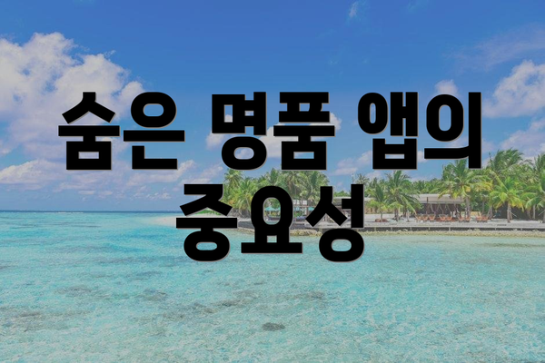 숨은 명품 앱의 중요성