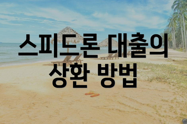 스피드론 대출의 상환 방법