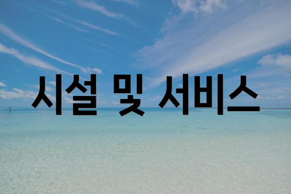 시설 및 서비스