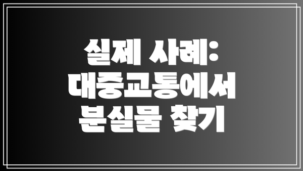 실제 사례: 대중교통에서 분실물 찾기