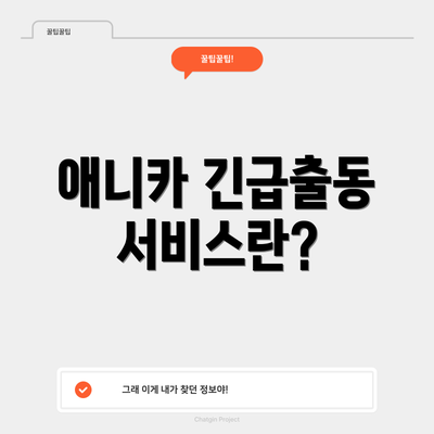 애니카 긴급출동 서비스란?