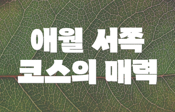 애월 서쪽 코스의 매력