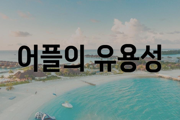 어플의 유용성