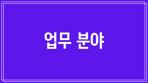 업무 분야