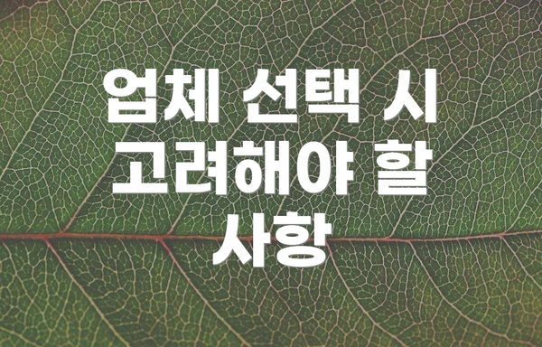 업체 선택 시 고려해야 할 사항