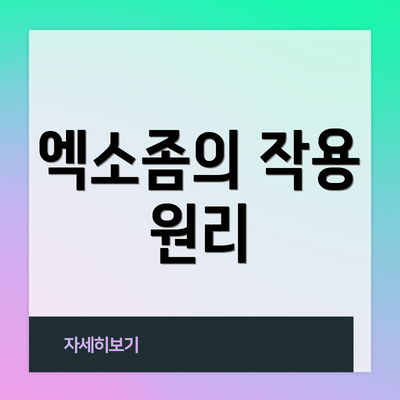엑소좀의 작용 원리