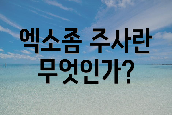 엑소좀 주사란 무엇인가?