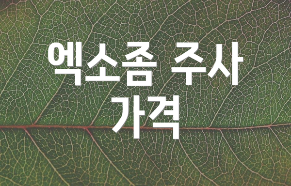 엑소좀 주사 가격