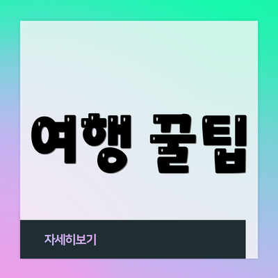여행 꿀팁