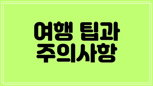 여행 팁과 주의사항