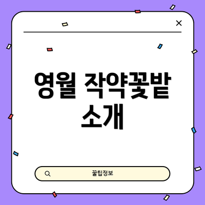 영월 작약꽃밭 소개