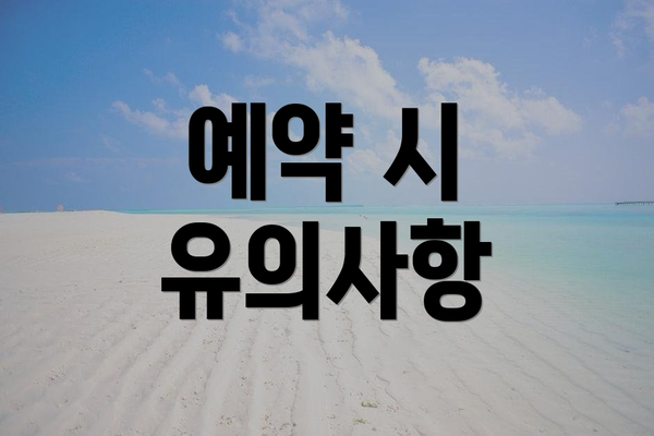 예약 시 유의사항