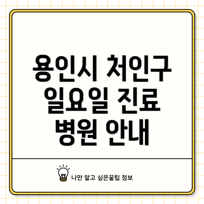 용인시 처인구 일요일 진료 병원 안내