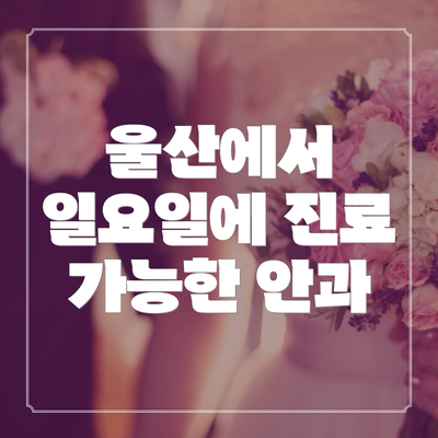 울산에서 일요일에 진료 가능한 안과