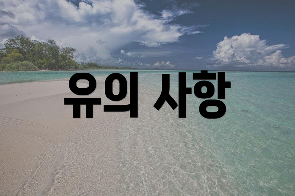 유의 사항