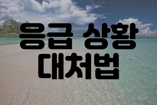 응급 상황 대처법