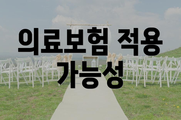 의료보험 적용 가능성