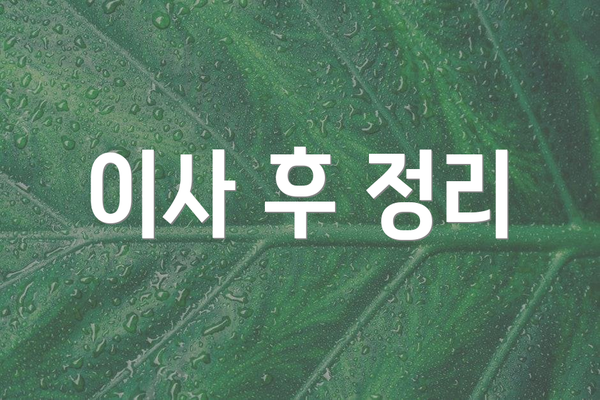이사 후 정리