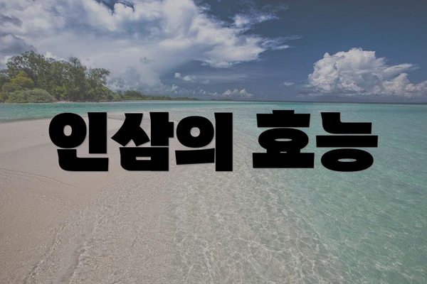인삼의 효능