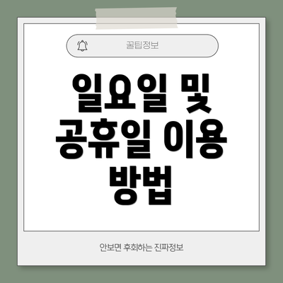 일요일 및 공휴일 이용 방법
