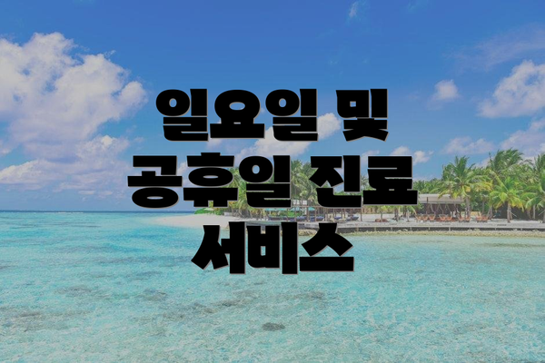 일요일 및 공휴일 진료 서비스