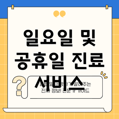 일요일 및 공휴일 진료 서비스