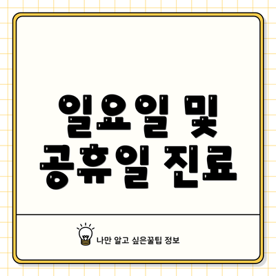 일요일 및 공휴일 진료