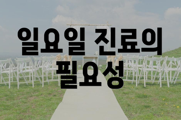 일요일 진료의 필요성
