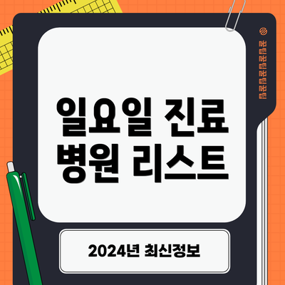 일요일 진료 병원 리스트