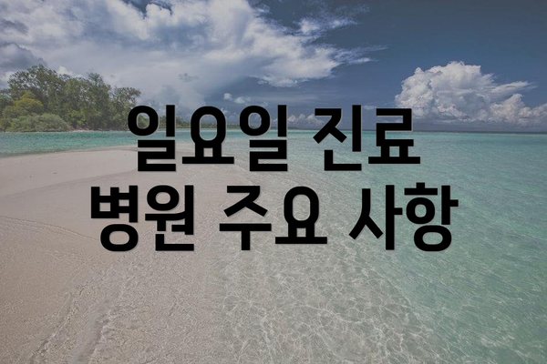 일요일 진료 병원 주요 사항