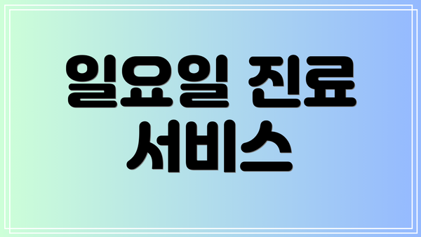 일요일 진료 서비스